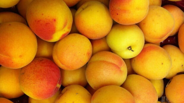 A close up view of fresh apricot fruits showing their natural colors and texture, HD Desktop Wallpaper