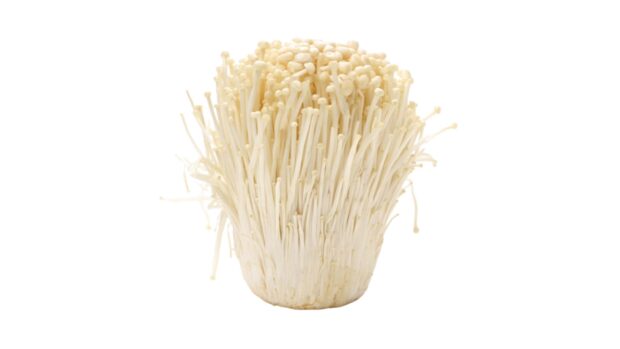 A close up view of enoki mushrooms growing, 2K Desktop Wallpaper