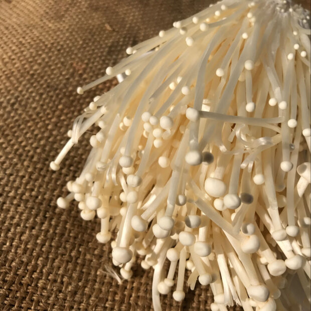 A close up view of fresh enoki mushrooms with delicate white stems, HD Mobile Wallpaper