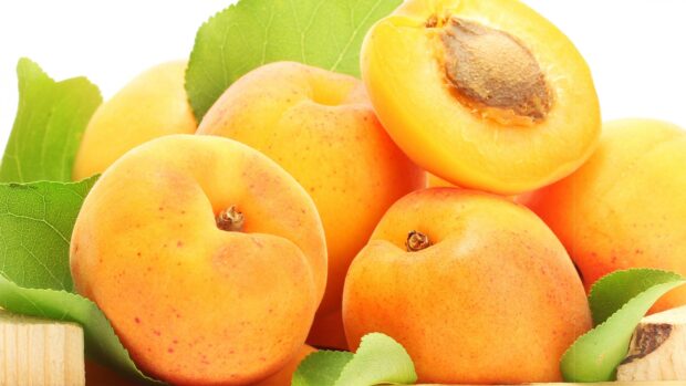 Fresh apricots with green leaves arranged closely on a white background, 4K Desktop Wallpaper