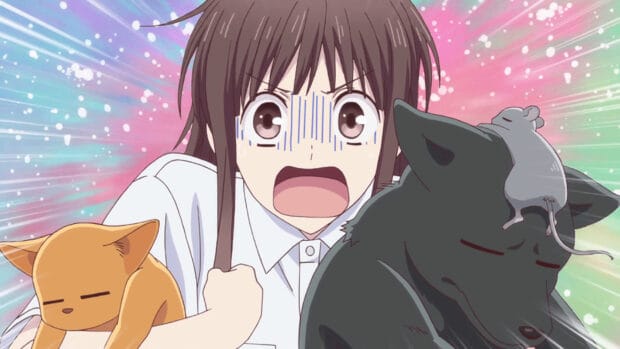 The Fruits Basket anime character holds two cats with a colorful background, HD Desktop Wallpaper