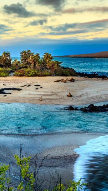 The Galapagos Islands display unique wildlife and beautiful coastal landscape, HD Phone Wallpaper