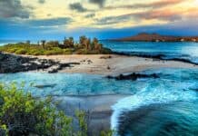 A peaceful scene of Galapagos Islands with ocean waves, sand, and wildlife, HD Desktop Wallpaper