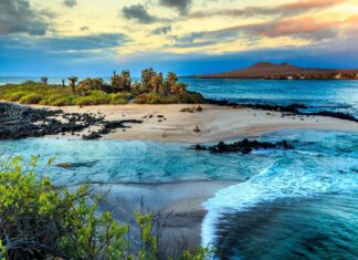 A peaceful scene of Galapagos Islands with ocean waves, sand, and wildlife, HD Desktop Wallpaper