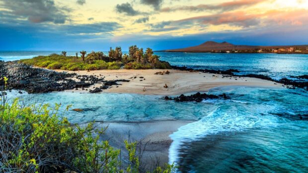 A peaceful scene of Galapagos Islands with ocean waves, sand, and wildlife, HD Desktop Wallpaper
