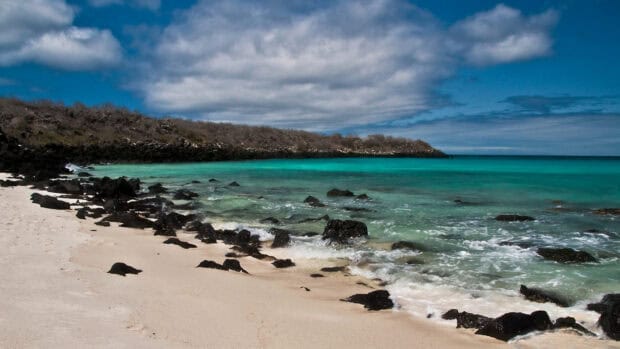 The turquoise waters and rocky shore of the Galapagos Islands create a peaceful coastal scene, HD Desktop Wallpaper