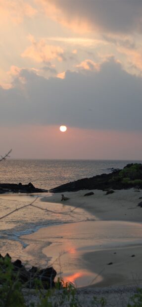 The sunset over the Galapagos Islands shows sea lions relaxing on the shore and calm water, 2K Mobile Wallpaper