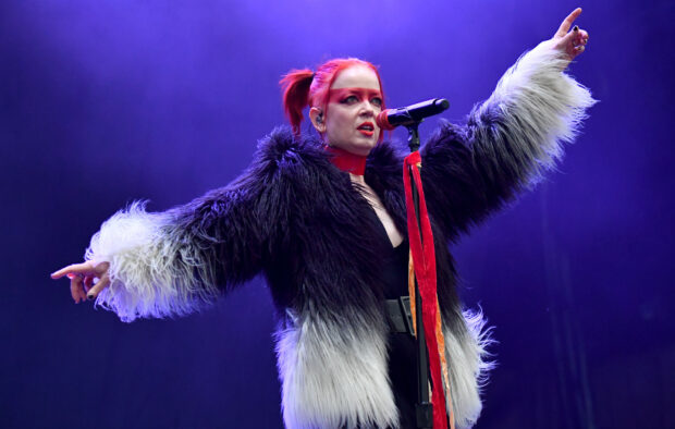 The Garbage Band lead singer is performing passionately on stage wearing a fur coat, HD Desktop Wallpaper