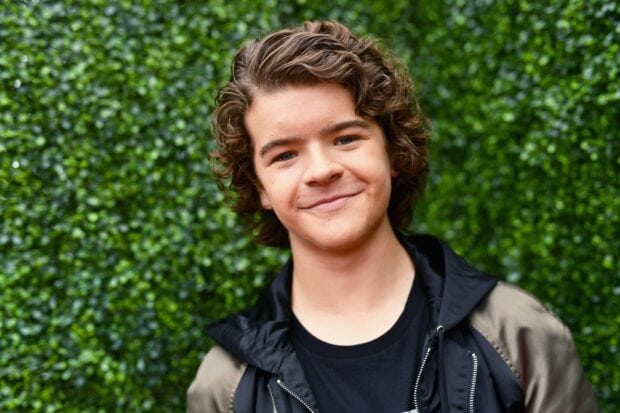 Gaten Matarazzo smiles while standing in front of a lush green hedge, HD Desktop Wallpaper