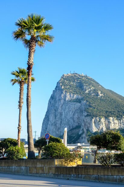 Gibraltar rock with palm trees under a clear blue sky near the harbor, HD Mobile Wallpaper