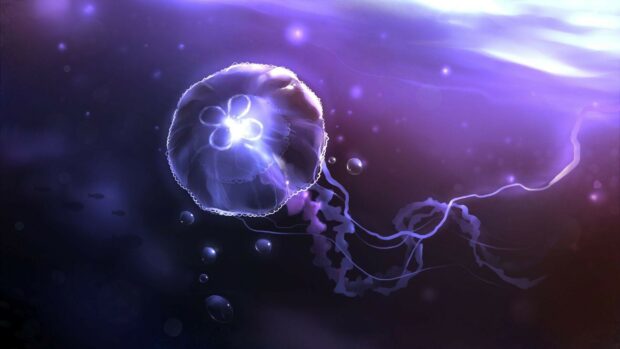 A glowing jellyfish floats gracefully in the deep ocean with purple hues, HD Desktop Wallpaper