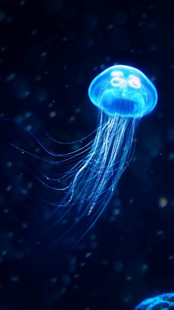A glowing jellyfish floats gracefully in the dark ocean depths, HD Mobile Wallpaper