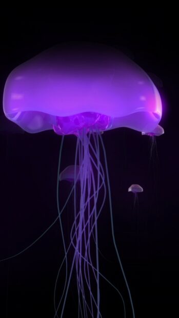 A glowing jellyfish displays vibrant purple hues with long tentacles in dark water, HD Mobile Wallpaper
