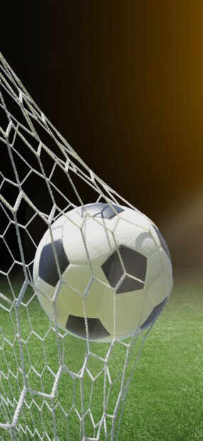 A goal sports ball hitting the net on a green field, 2K Mobile Wallpaper