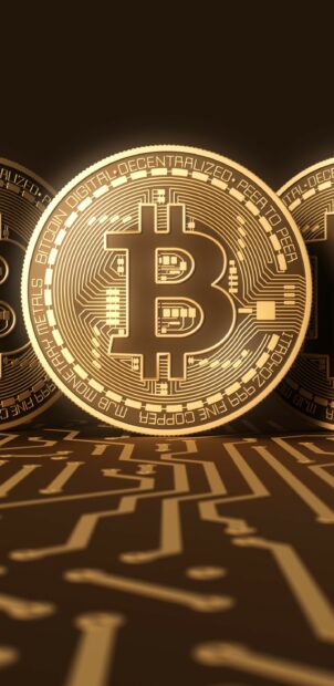A golden bitcoin coin with a clear digital circuit pattern in the background, 2K Phone Wallpaper