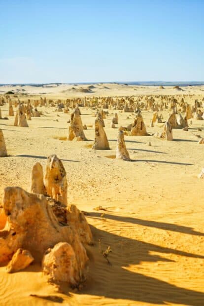 The limestone formations create a stunning landscape at Nambung National Park under clear skies, HD Mobile Wallpaper