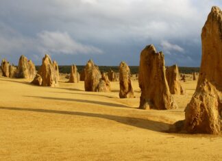 Tall limestone pillars stand over yellow sandy ground under a cloudy sky at Nambung National Park, 2K Desktop Wallpaper