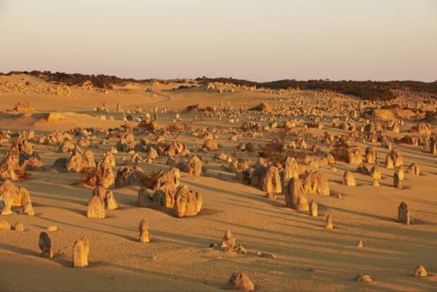 The golden light highlights rock formations in Nambung National Park desert landscape during sunset, HD Desktop Wallpaper