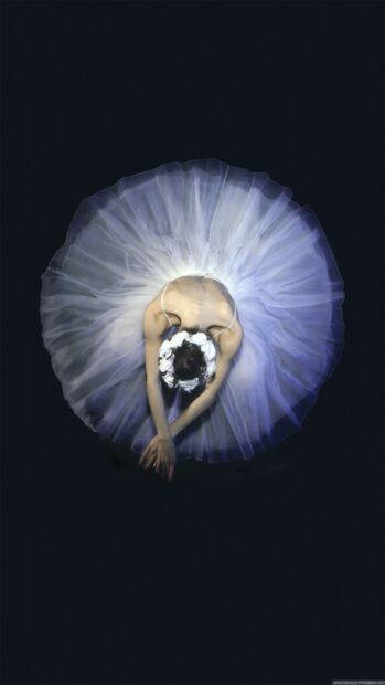 A ballet dancer poses gracefully in a white tutu with flowers in her hair, HD Phone Wallpaper