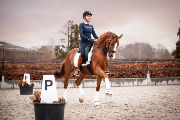 A rider is skillfully performing eventing movements on a brown horse in an outdoor arena, HD Desktop Wallpaper