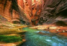 A river flows through the rocky walls of the Grand Canyon showcasing its natural beauty
