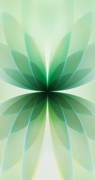The image features a green abstract flower with a symmetrical design, iPhone Wallpaper