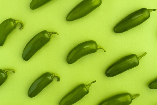 Fresh green jalapeno peppers scattered on a bright green background with natural lighting, 2K Desktop Wallpaper