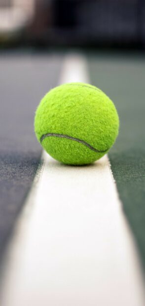 A green tennis ball rests on the white line of a tennis court ready for play, HD Phone Wallpaper