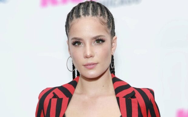 Halsey Wallpapers features a close up portrait of the singer with braided hair and hoop earrings, HD Desktop Wallpaper