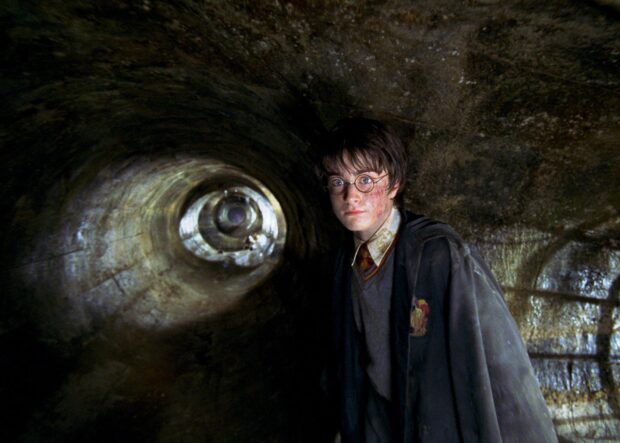 Harry Potter cautiously explores the dark tunnel in The Chamber of Secrets, HD Desktop Wallpaper
