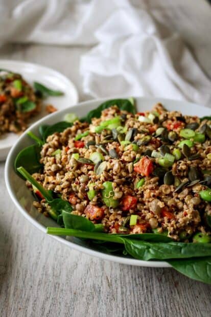 A nutritious quinoa dish served with fresh greens, HD Mobile Wallpaper