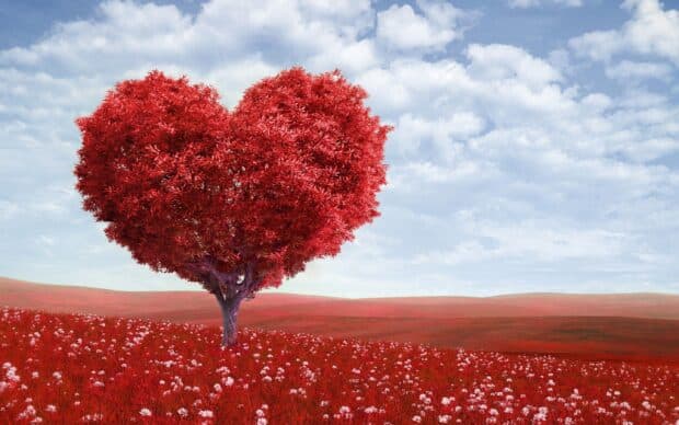 A tree shaped like a heart stands in a vibrant red field under a cloudy sky, 2K Desktop Wallpaper