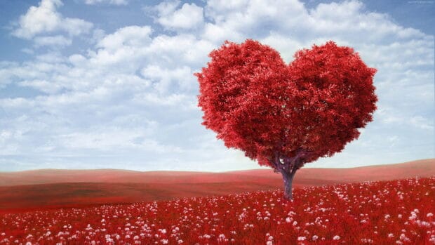 A heart shaped tree stands tall in a vibrant red field under a cloudy sky, 4K Desktop Wallpaper