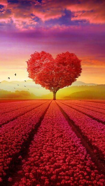 A heart shape tree stands tall over a field of red flowers at sunset with birds flying nearby, HD Mobile Wallpaper
