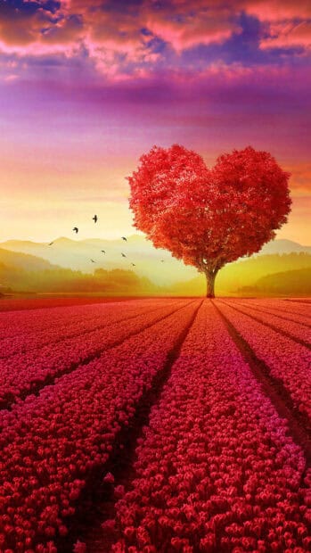 A heart shape formed by a vibrant red tree standing in a vast field of red flowers at sunset, HD Phone Wallpaper