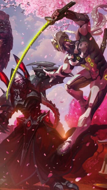 Two heroes fight under cherry blossoms in Heroes Of The Storm, HD Phone Wallpaper