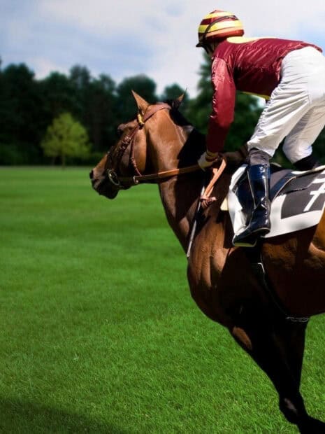A jockey in red gear rides a horse at full speed on the green field during a horse racing event, HD Phone Wallpaper