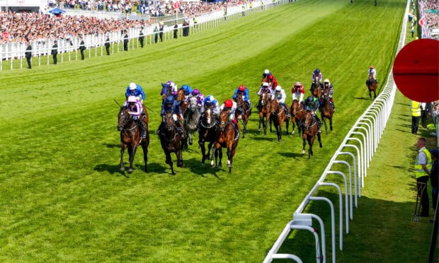A group of jockeys racing horses down the track at a crowded event with spectators, 2K Desktop Wallpaper