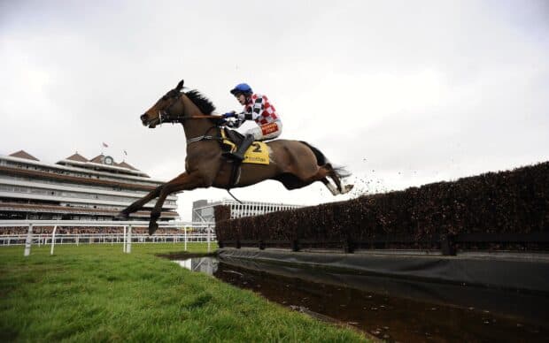 A jockey in red and white gear is riding a horse leaping over a hedge obstacle during a race, 2K Desktop Wallpaper