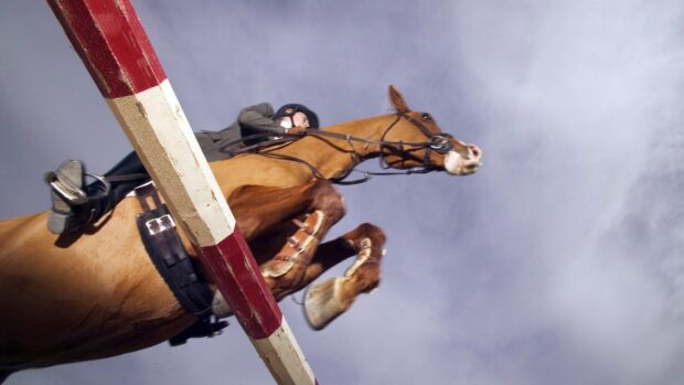 A rider and horse are jumping over an obstacle during an eventing competition, HD Desktop Wallpaper