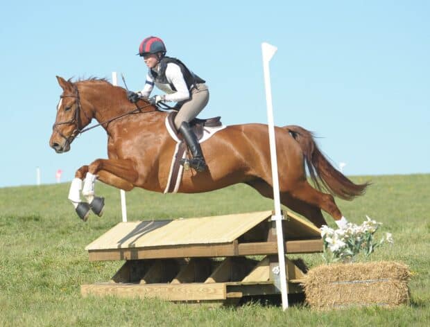 A rider is navigating a horse over an obstacle in eventing wallpapers, HD Desktop Wallpaper