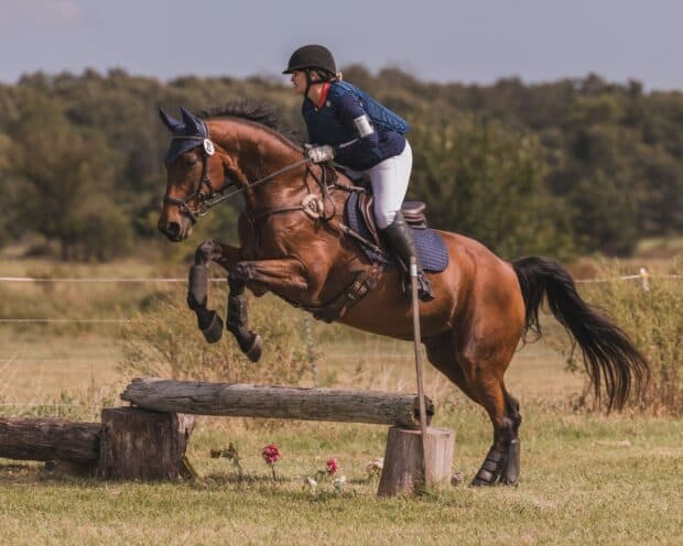 A rider jumps over a wooden obstacle on a horse during an eventing competition, HD Desktop Wallpaper