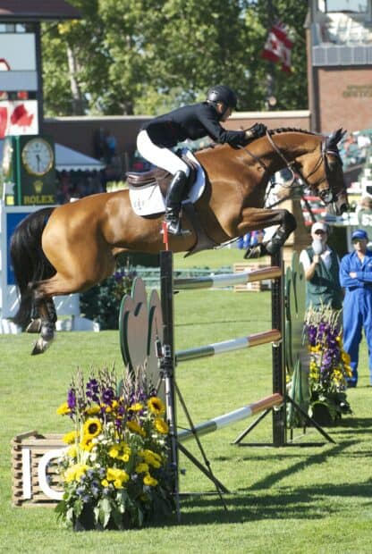 A rider is jumping over an obstacle on a horse during an eventing competition, 2K Phone Wallpaper