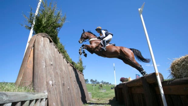 A horse and rider compete in an eventing competition jumping over a wooden obstacle, 2K Desktop Wallpaper