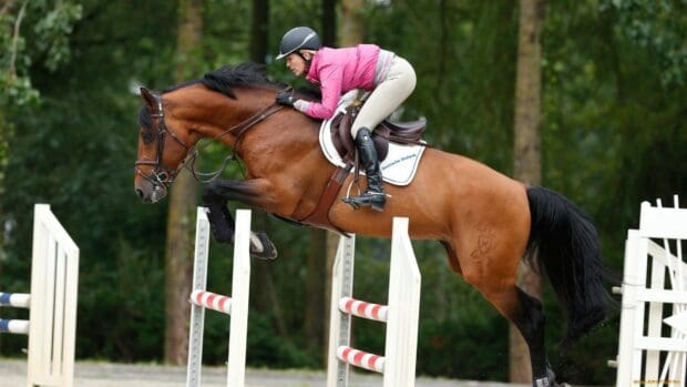 A rider in pink jacket is guiding a horse through an eventing course with focus, HD Desktop Wallpaper