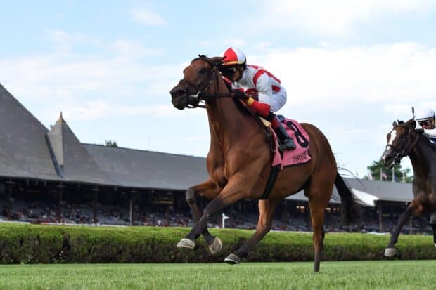 A jockey riding a horse during an intense horse racing event at the track, 2K Desktop Wallpaper