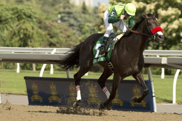 A jockey rides a fast horse during a horse racing event on the dirt track, HD Desktop Wallpaper