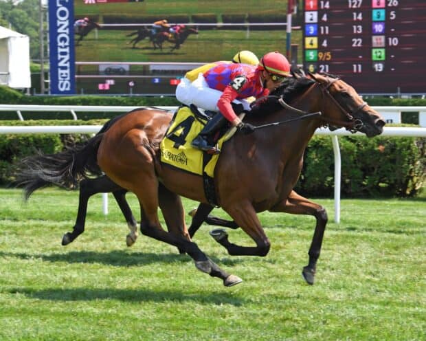 A jockey in red rides a brown horse during a horse race, 2K Desktop Wallpaper