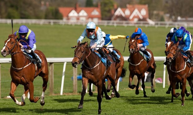 This eventing wallpaper shows jockeys riding horses fiercely in a race on a green field, 2K Desktop Wallpaper