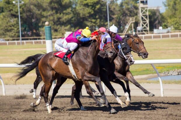 Three jockeys compete in a horse racing event, 2K Desktop Wallpaper